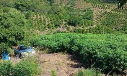 Terreno à venda no Posse dos Coutinhos, Tanguá 