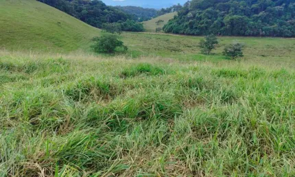 Fazenda para venda em cachoeiras de macacu, quizanga