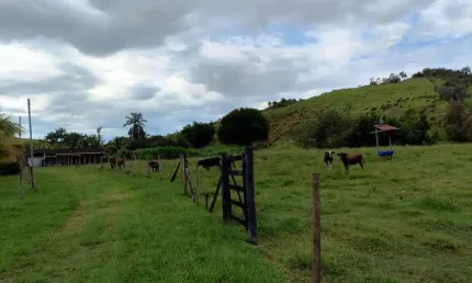 Sítio para venda em itaboraí, centro (sambaetiba), 3 dormitórios, 1 suíte, 2 banheiros, 1 vaga