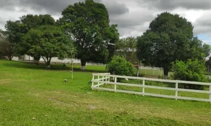 Sítio para Venda em Itaboraí, Joaquim de Oliveira, 2 dormitórios, 1 suíte, 2 banheiros, 1 vaga