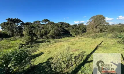 Terreno à venda na Rua Magnólia, Campina da Barra, Araucária