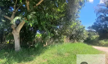 Terreno Urbano à Venda em Araucária – 764 m² – Estação