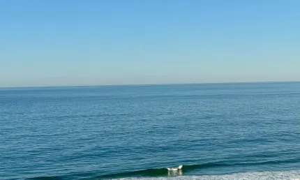 Morar no melhor ponto da Barra e ainda lucrar com isso? Sim, é possível!