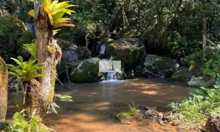 Lindo sítio à venda em Águas Mornas com 3 nascentes