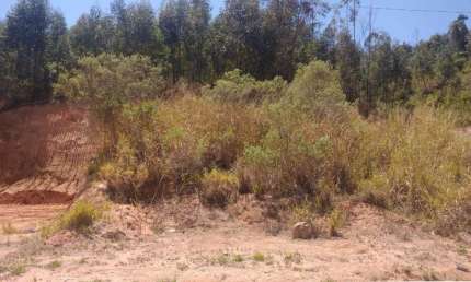 Terreno à venda, 250 m² por R$ 155.000,00 - Jardim das Angélicas - Itupeva/SP