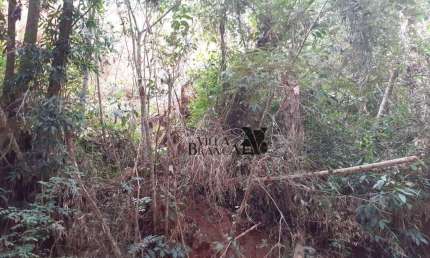 Terreno à venda, 1510 m² por R$ 80.000,00 - Santa Branca - Santa Branca/SP