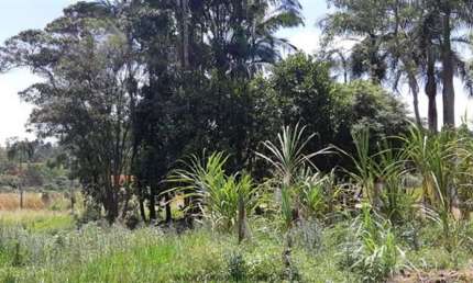 Chácara com 2 dormitórios à venda, 12500 m² por R$ 1.350.000,00 - Condomínio Vista Alegre - Jundiaí/SP