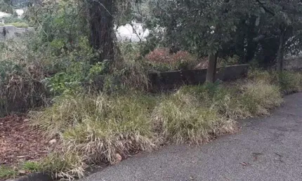 Terreno à venda, 650 m² por r$ 850.000,00 - jardim europa - jundiaí/sp