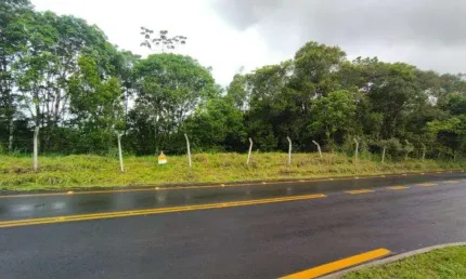 Terreno comercial à venda em Reta, São Francisco do Sul 