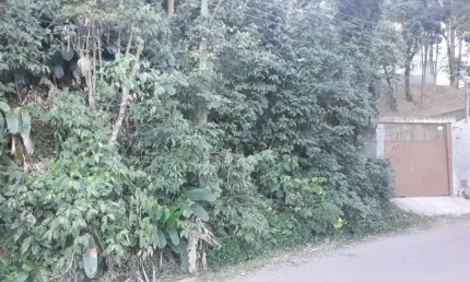 Terreno à venda, 2040 m² por R$ 200.000,00 - Samambaia - Mairiporã/SP