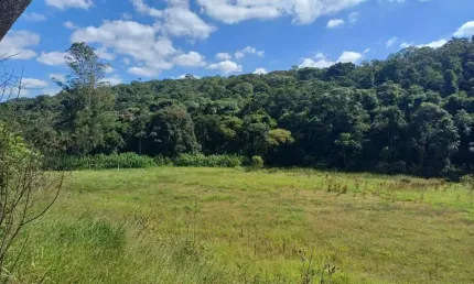 Terreno à venda, 22900 m² por r$ 600.000 - mato dentro - mairiporã/sp