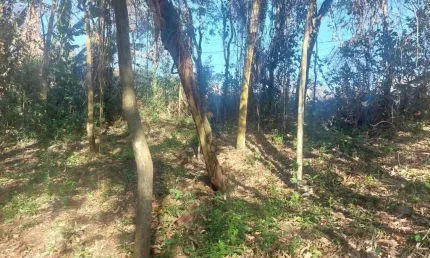 Terreno à venda, 1000 m² por R$ 280.000,00 - Lago da Cantareira - Mairiporã/SP