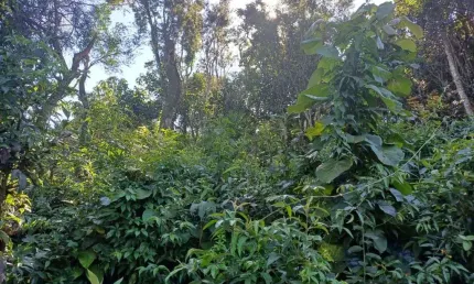 Terreno à venda, 1000 m² por r$ 200.000 - recanto do céu azul - mairiporã/sp