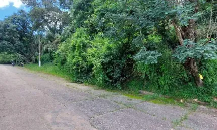 Terreno à venda, 1550 m² por r$ 300.000,00 - caraguatá - mairiporã/sp