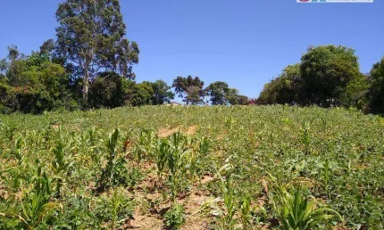 Terreno à venda, 9251 m² por r$ 650.000,00 - jundiaquara - araçoiaba da serra/sp