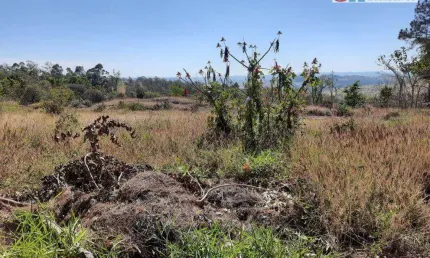 Chácara com 1 dormitório à venda, 24500 m² por R$ 850.000,00 - Chácara Alpina  - Valinhos/SP