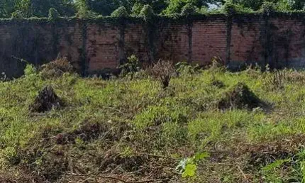 Terreno para venda em Valentina Figueiredo de 10275.00m²