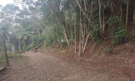 Terreno à venda na Estrada Rozália Paulina Ferreira, 2923, Pântano do Sul, Florianópolis, 720 m2 por R$ 620.000