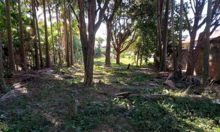 Terreno à venda na Rodovia Baldicero Filomeno, 2379, Ribeirão da Ilha, Florianópolis, 1426 m2 por R$ 1.190.000