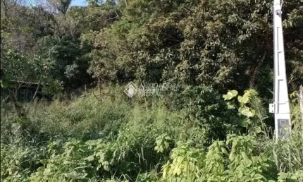 Terreno à venda na Rodovia Francisco Thomaz dos Santos, 8839, Armação do Pântano do Sul, Florianópolis, 800 m2 por R$ 490.000