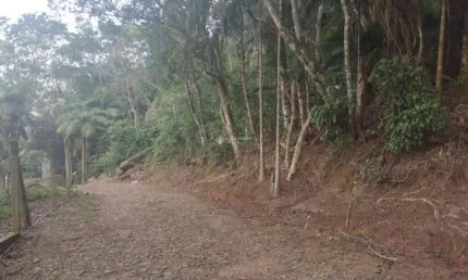 Terreno à venda na Estrada Rozália Paulina Ferreira, 2923, Pântano do Sul, Florianópolis, 702 m2 por R$ 590.000
