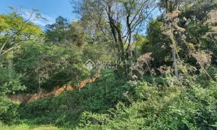 Terreno à venda na rua laurindo januário da silveira, 150, lagoa da conceição, florianópolis por r$ 4.800.000