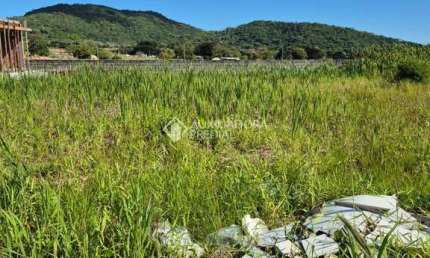 Terreno à venda na Rodovia Doutor Antônio Luiz Moura Gonzaga, 3312, Rio Tavares, Florianópolis, 452 m2 por R$ 980.000