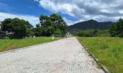 Terreno à venda na Rua Cedro Rosa do Sul, 1171, Ribeirão da Ilha, Florianópolis, 375 m2 por R$ 850.000