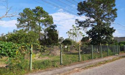 Terreno à venda na Servidão Jaborandi, 900, Campeche, Florianópolis, 4122 m2 por R$ 9.490.000