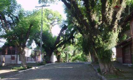 Terreno residencial à venda, Bairro Vila Ipiranga, Porto Alegre.