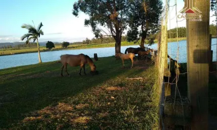 Sítio espetacular em Glorinha, a 700 metros da RS030