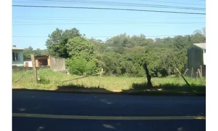 Terreno em condomínio fechado à venda na Rua Dolores Duran, 317, Lomba do Pinheiro, Porto Alegre
