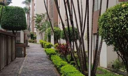 Apartamento com 2 quartos à venda na Rua José Ferreira de Castro, 259, Vila Amélia, São Paulo