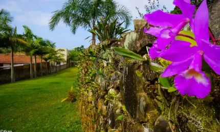 Terreno à venda no pântano do sul, florianópolis  por r$ 2.300.000