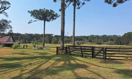 Área Rural para Venda em São João do Triunfo, Área Rural