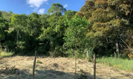 Terreno à venda, 450 m² por r$ 35.000,00 - centro - torreões (juiz de fora)/mg