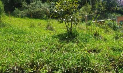 Terreno à venda, 5300 m² por R$ 90.000,00 - Paula Lima - Juiz de Fora/MG