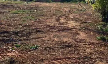 Terreno à venda, 5000 m² por R$ 2.300.000 - Santa Cruz - Juiz de Fora/MG