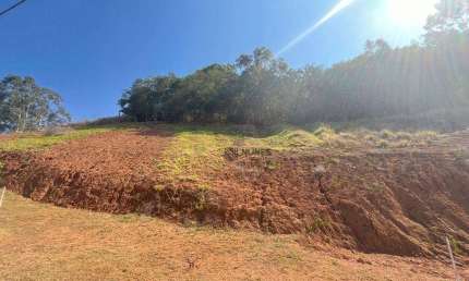 Terreno à venda, 440 m² por R$ 255.000,00 - Spinaville - Juiz de Fora/MG