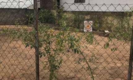 Terreno à venda no Residencial Cosmos, Campinas 