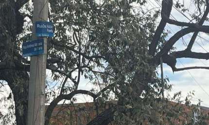 Terreno à venda no Jardim Sul América, Campinas 