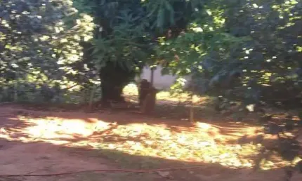 Chácara à venda, Residencial Recanto das Palmeiras, Artur Nogueira, SP