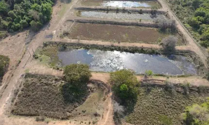 Sítio à venda 72.600m² - Frente a Rodovia SP340 KM 137 Tanquinho Velho, Jaguariúna, SP