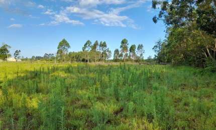 Área de Terra à venda no Bairro Curralinhos com 3092 m² de área privativa