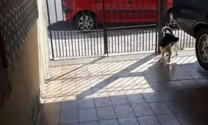 Sobrado com 3 quartos e 2 banheiros à venda, 120 m² por r$ 580.000