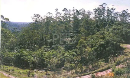 Terreno de 8.080 m² em Ribeirão Pires - Com Excelente Localização. Próximo a Rodovia Índio Tibiriçá.