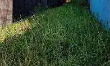 Terreno à venda na Vila Humaitá, Santo André 