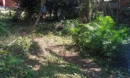 Chácara para aluguel, 3 quartos, 1 suíte, 3 vagas, Dos Finco - São Bernardo do Campo/SP