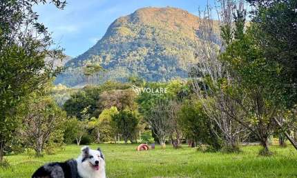 SÍTIO próximo ao morro da Pipa /  A menos de 1h de Itapema SC.