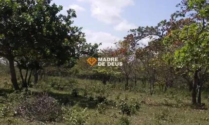 Terreno em condomínio fechado à venda na 6269000, 1, centro, trairi por r$ 350.000
